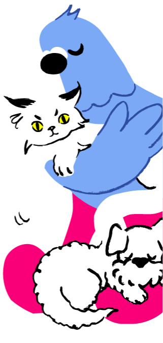 装饰9